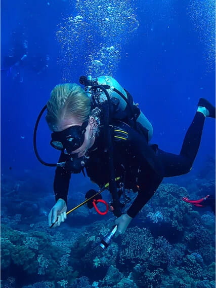 Diving